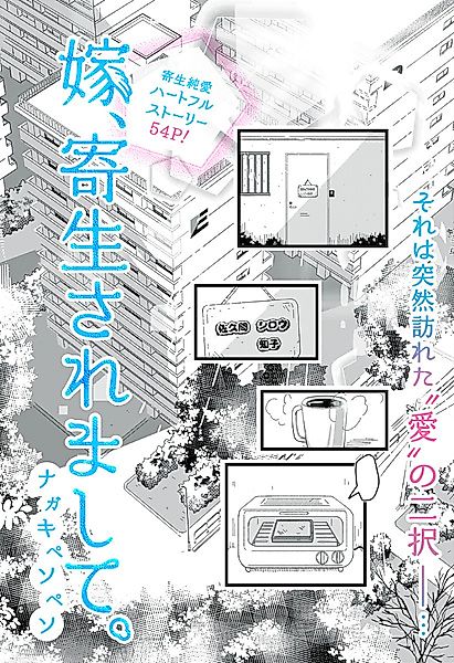 Cover image for the other called 