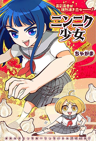 Cover image for the other called 