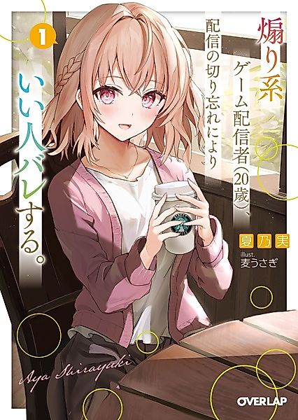 Cover image for the novel called 