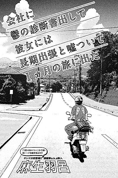 Cover image for the other called 