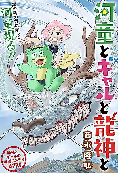 Cover image for the other called 