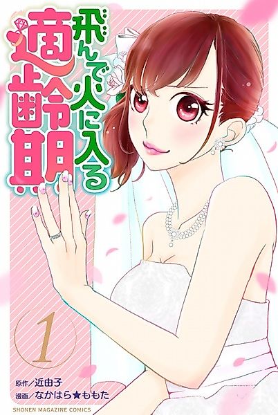 Cover image for the manga called Tonde Hi ni Iru Tekireiki