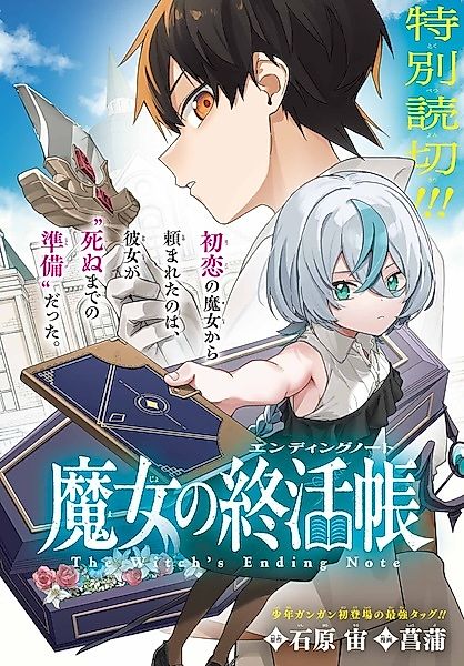 Cover image for the other called The Witch's Ending Note