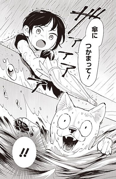 Cover image for the other called Koinu no Ongaeshi