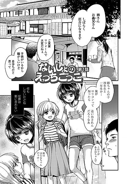 Cover image for the manga called Secret Immoral Play