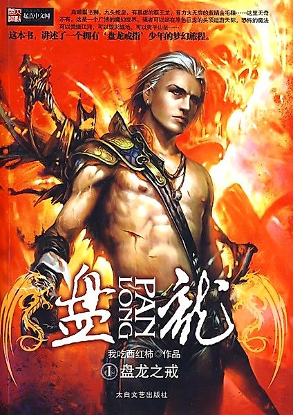Cover image for the novel called 
