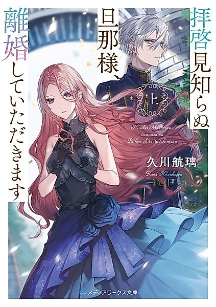 Cover image for the novel called 