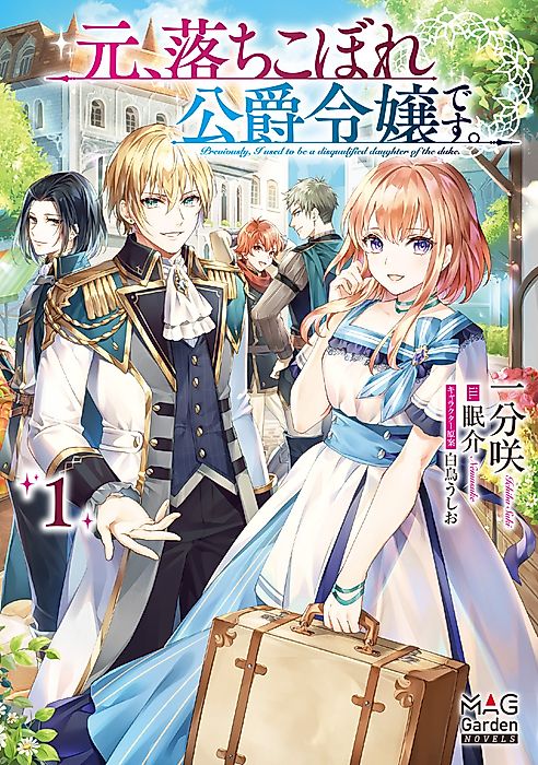 Cover image for the novel called 