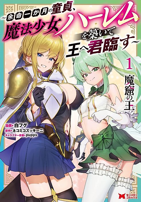 Cover image for the manga called 