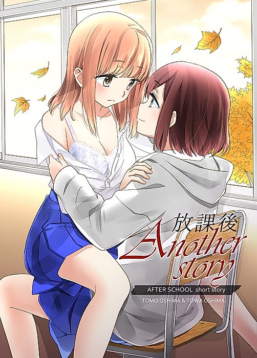 Cover image for the manga called Houkago: Another Story