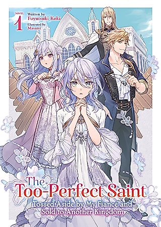 Cover image for the novel called 