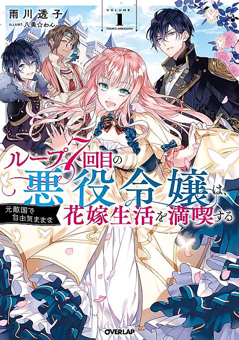 Cover image for the novel called 