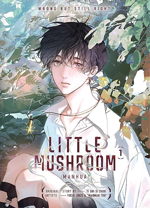 Cover image for the manhua called 
