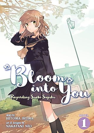 Cover image for the novel called 