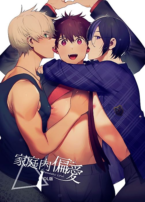 Cover image for the manga called The Household Favorite
