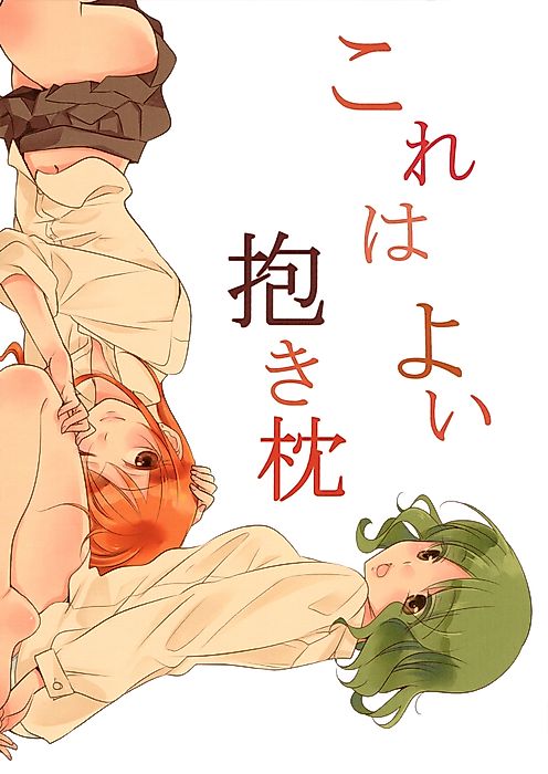 Cover image for the other called This Is a Great Hug Pillow