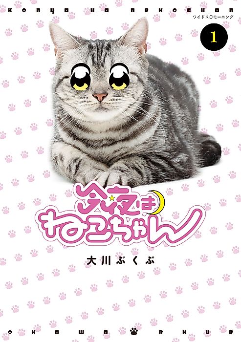 Cover image for the manga called Kitty Tonight