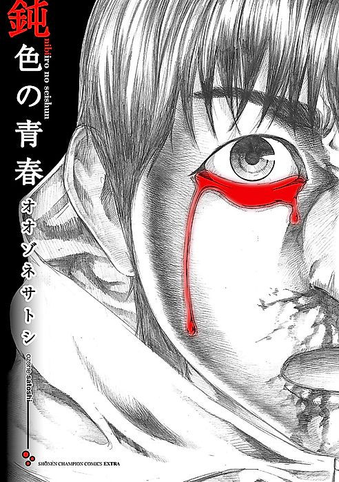 Cover image for the manga called Nibiiro no Seishun