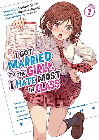 Cover image for the novel called 