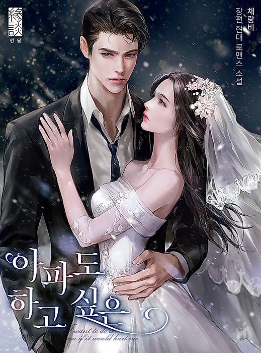 Cover image for the novel called 