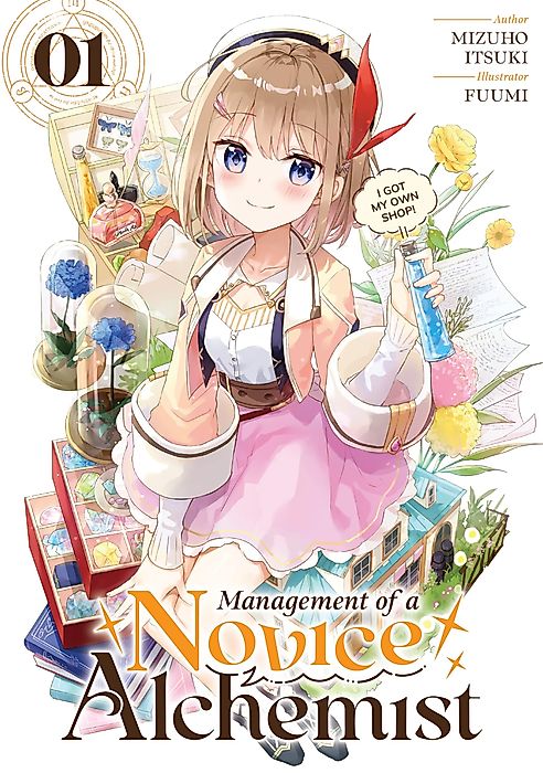 Cover image for the novel called 