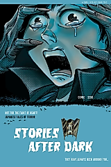 Cover image for the other called Stories After Dark: Japan