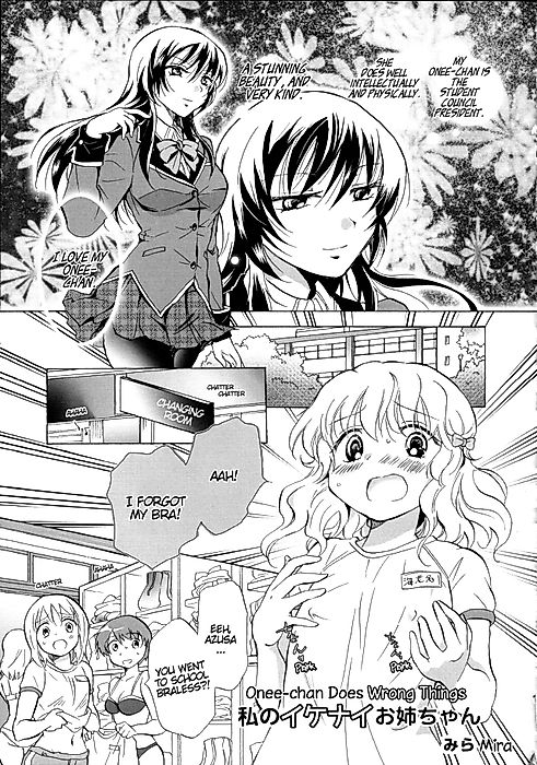 Cover image for the manga called Onee-chan Does Wrong Things