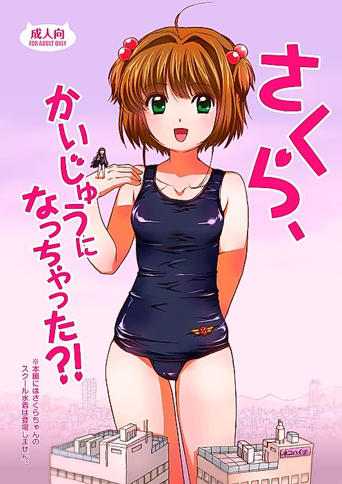 Cover image for the other called 
