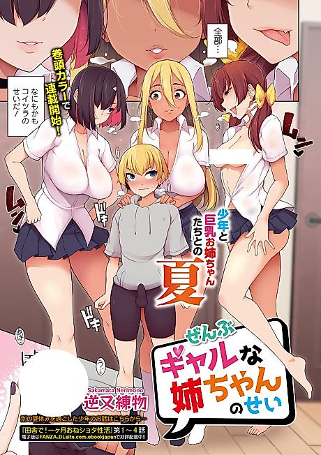 Cover image for the manga called It's All The Gal Nee-chans' Fault