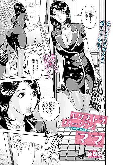 Cover image for the manga called Extra Virgin MAMA