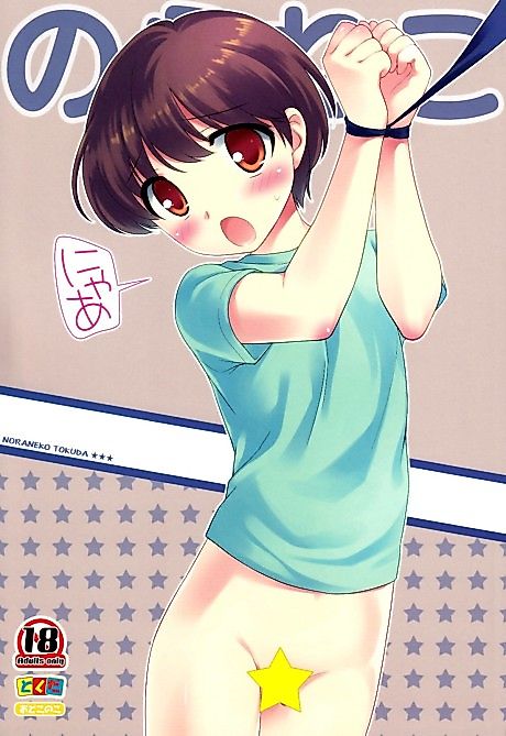 Cover image for the manga called Stray Cat (UEDA Yuu)