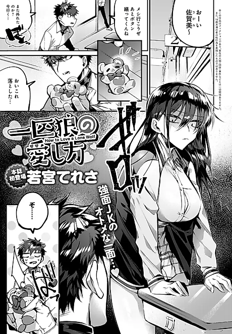 Cover image for the manga called How to Love a Lone Wolf