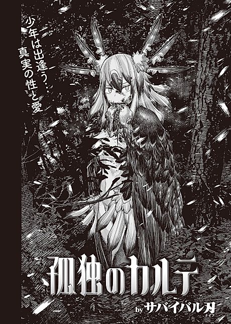 Cover image for the manga called Solitude Karte