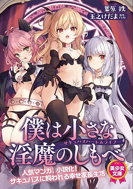 Cover image for the novel called 