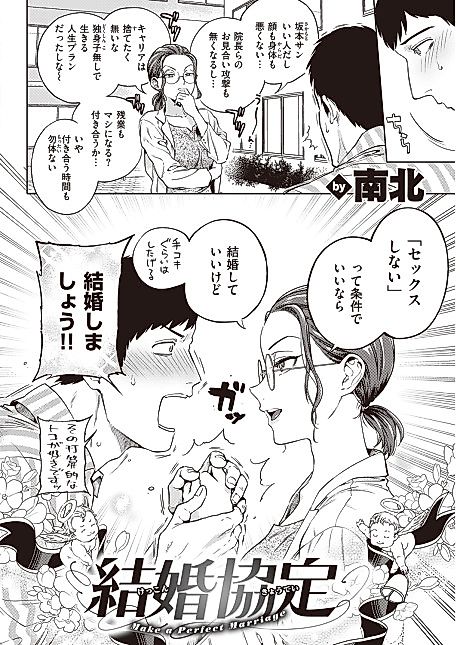 Cover image for the manga called Make a Perfect Marriage