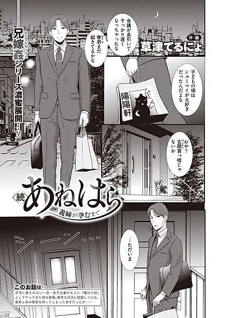 Cover image for the manga called Zoku Anehara