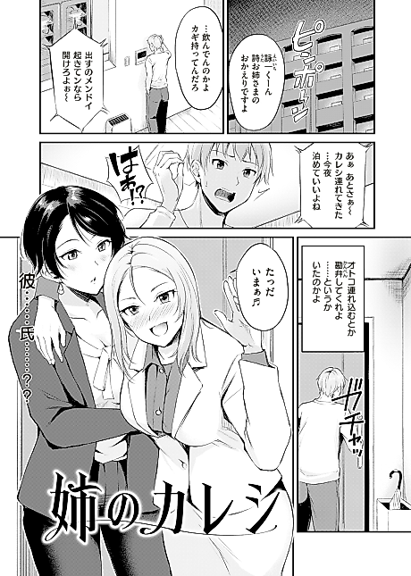 Cover image for the manga called Sis’s Boyfriend