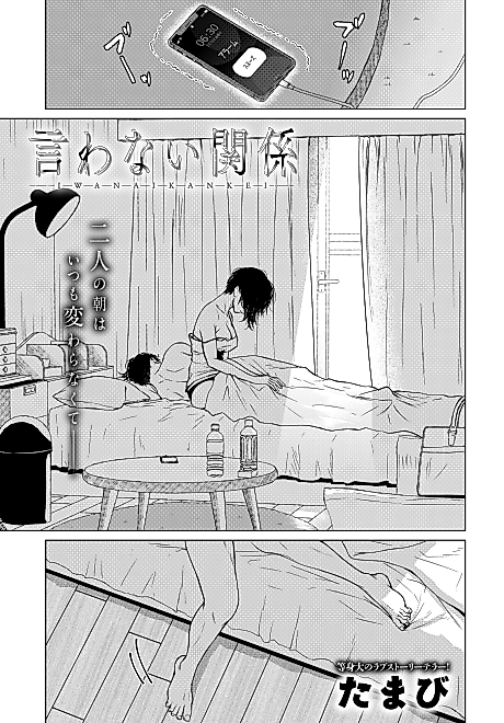 Cover image for the manga called Iwanai Kankei