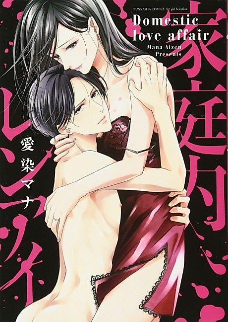 Cover image for the manga called Domestic Love Affair