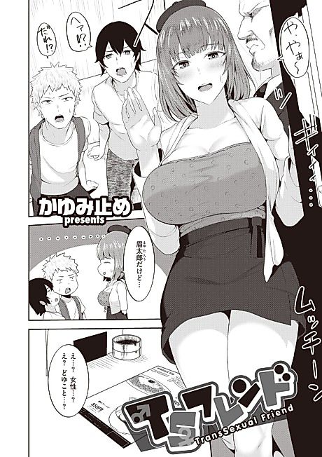 Cover image for the manga called TS Friend