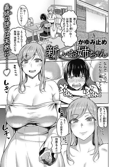 Cover image for the manga called New Big Sister