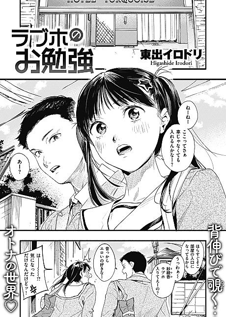 Cover image for the manga called Love Hotel Study
