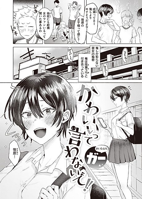 Cover image for the manga called Don't Call Me Cute!!