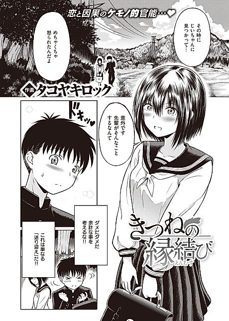 Cover image for the manga called Fox's Love Knot