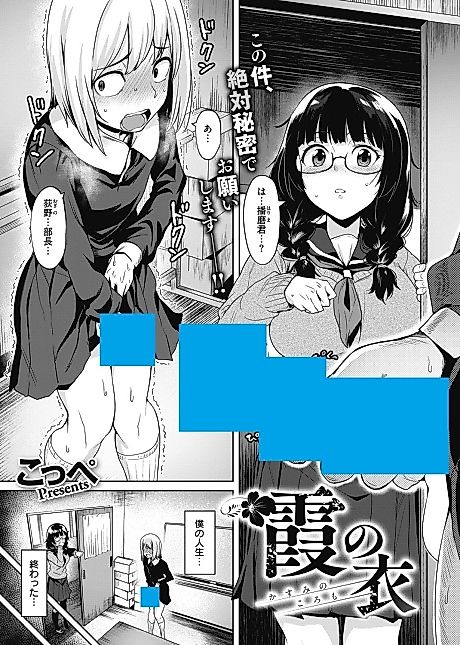 Cover image for the manga called Misty Garment