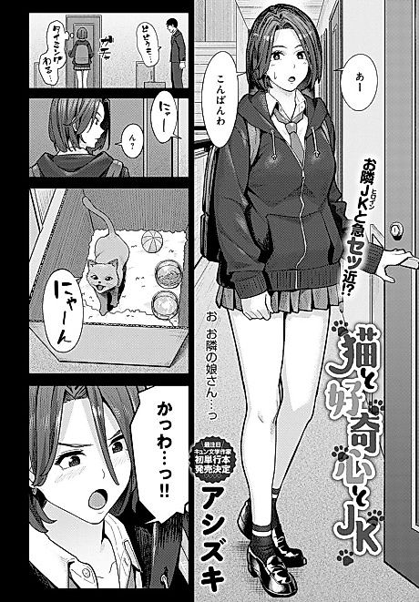 Cover image for the manga called Neko to Koukishin to JK
