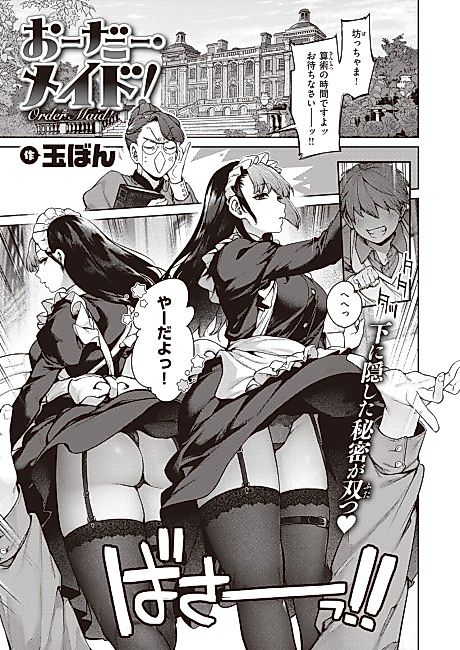 Cover image for the manga called Order-Maid!