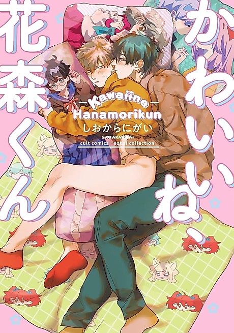 Cover image for the manga called Kawaii ne, Hanamori-kun