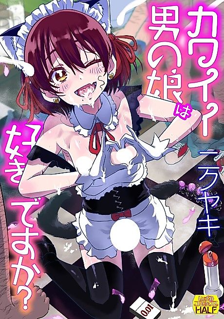 Cover image for the manga called Kawaii Otokonoko wa Suki desu ka?