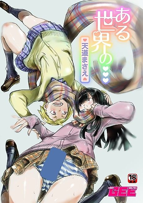 Cover image for the manga called From a Certain World